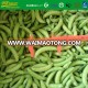 New Crop Hot Sale high quality sugar snap peas for sale cheap price