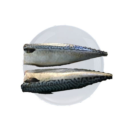 Frozen Seafood Pacific Mackerel Hgt Price